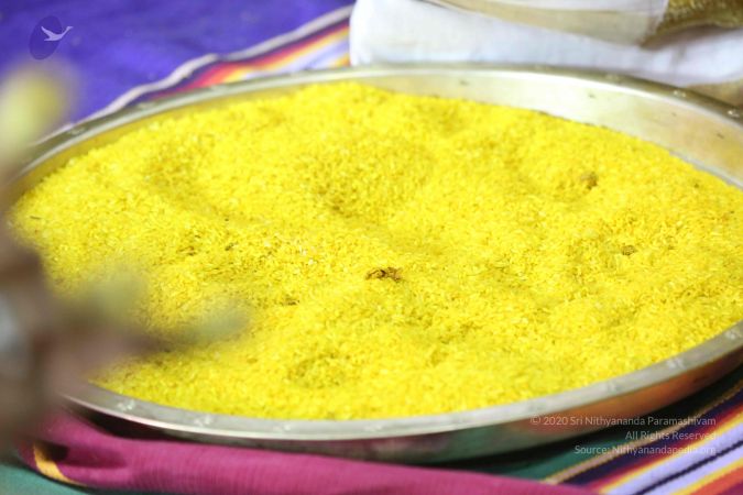 20161219 Photo 3132 1gT3n5ezJrY6GvSWWIhHnyx8tCoJLfvyh.JPG