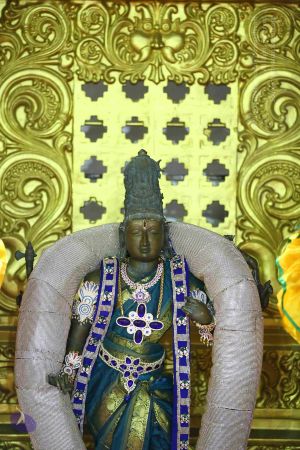 20161219 Photo 3309 1 UnKgLIkz5fNwyKiMg56V4N4g8vh02g9.JPG