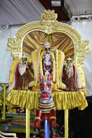 20161219 Photo 3330 11T3cTxPwXwdx7EjnocrZI0XbjL361GM4.JPG