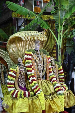 20161219 Photo 3343 1P9vBj-19RF2suY8KMUt3jm0nVGXUOGRg.JPG