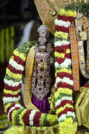 20161219 Photo 3357 1-m7bfAl5eeqv2aoSVZBaNQtxDHLaThPt.JPG