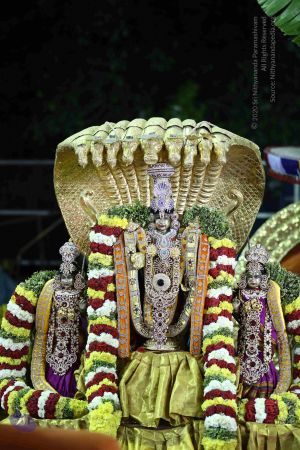 20161219 Photo 3362 1KIU9EAukeMYST-IAF2 YQDTBQBusEFi6.JPG