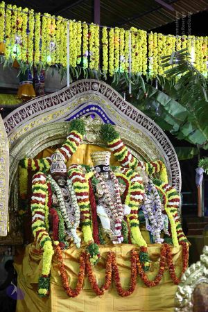 20161219 Photo 3394 12pw-Uc52KY7hBQXHNg2ZKmhQdGo5iijw.JPG