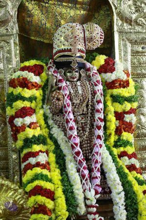 20161219 Photo 3408 1so4JLYc01 j2jUdGFQ0YX W5VEMoxis4.JPG