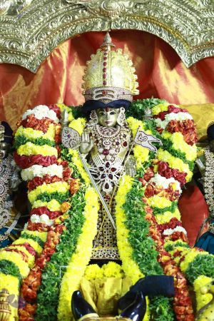 20161219 Photo 3421 11N8yv-Oz6SYaUQGTdosykW3cO9uBdJei.JPG