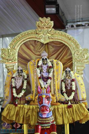 20161219 Photo 3428 1Ag4LbUqwZwjs915DS4a02cvK4iHDAbow.JPG