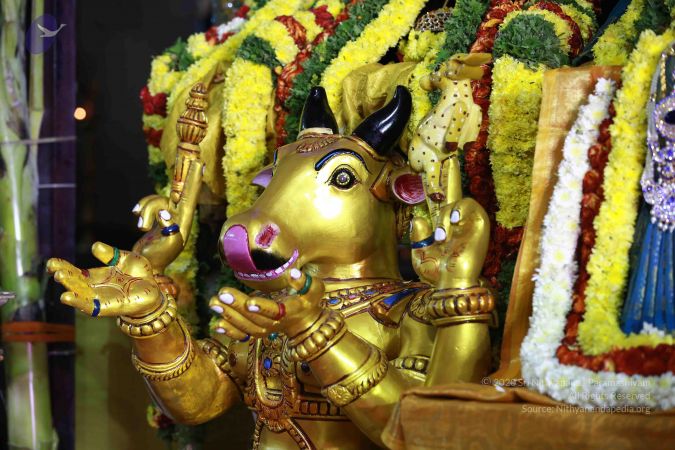 20161219 Photo 3431 1cEMXkFrnq4hR9SNI4gZApCpuVJ94axjV.JPG