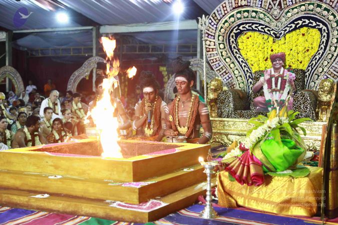 20161219 Photo 3521 1bZfTEGozyAbBLyraI24kGBMKjiMxuS92.JPG