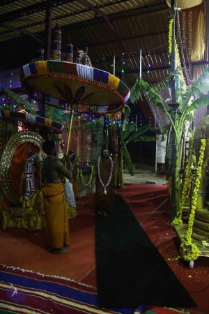 20161219 Photo 3593 1bGur1msFPHIbyo8lSaFQhMxPMSIFPuga.JPG