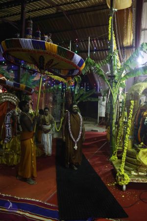 20161219 Photo 3595 1e8VAuxNi 00IFYkpQEDWr17DWtHrxSzL.JPG