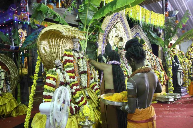 20161219 Photo 3607 1A9qXF0CYPT8DroH1wfbUXP7bmSqeeLZz.JPG