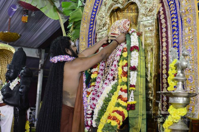 20161219 Photo 3777 1LS7TS9nJFKXICqMS1dtzRbvSPJOLGfRu.JPG