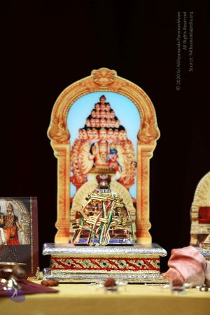 20161221 Photo 1350 1L2VDXeP7xi8Yy7dYZkHIMspd6fm4NdHy.JPG