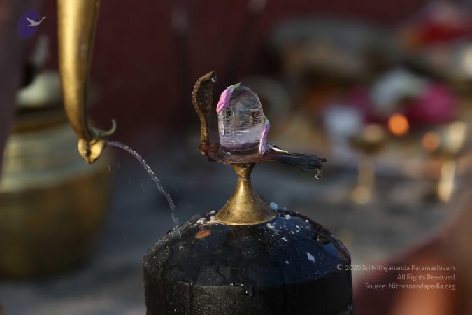 20161223 Photo 1012 1xL5qkrsreBe5EC6IuNyVxykooP5fd61Y.JPG