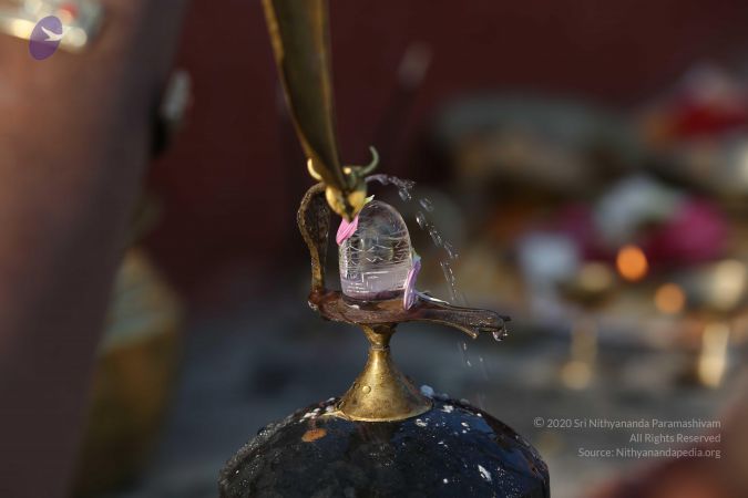 20161223 Photo 1013 1KX1O68cNHaPSh1Gg9g1uFkdRxmLOUzZo.JPG