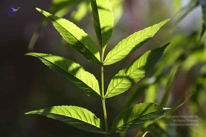 20161223 Photo 1070 1F3YLKkiyJTD8UMRbO-emje1YpsKHhCYq.JPG