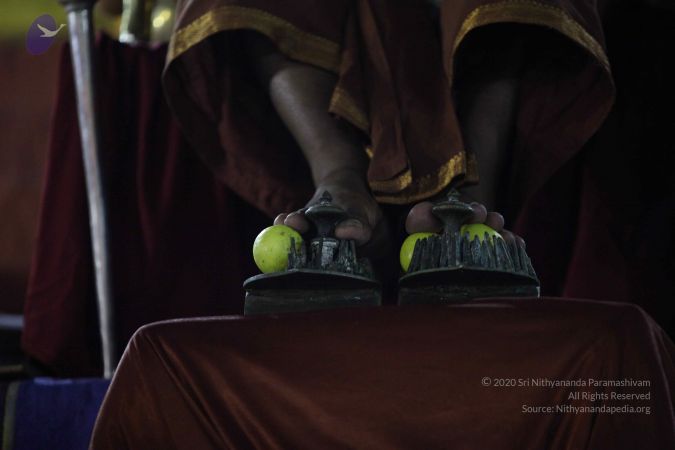 20161223 Photo 1217 1BjFpPddLy9dUkfBjEXOsvOxt62lc0Upe.JPG