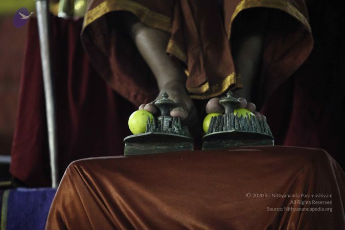 20161223 Photo 1221 1ybXOebTst1Zjhq0nft3HNfP1i HoEWrt.JPG