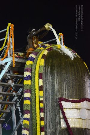 20161223 Photo 1380 1UQ5hdqGO24nE6ULvZmncApUb2CLmk14p.JPG