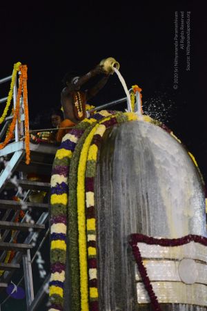 20161223 Photo 1383 1zuE4t16rcYHdTbho3m4ufx389WRBR3qd.JPG