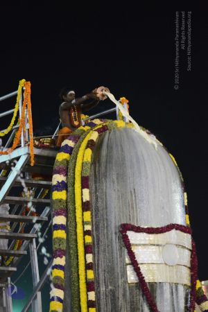 20161223 Photo 1385 1QuIFR1WMdIdwm0ClmTV0KDlsIAE yPdF.JPG