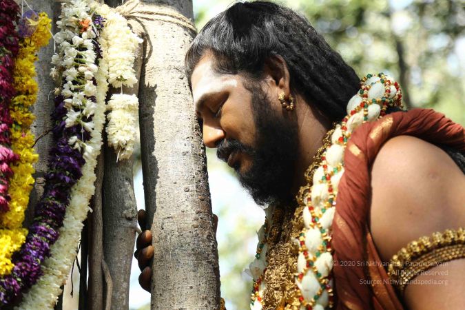 20161223 Photo 1455 1nNyDomM3LupIJyj43-F8-ncu2od3up G.JPG