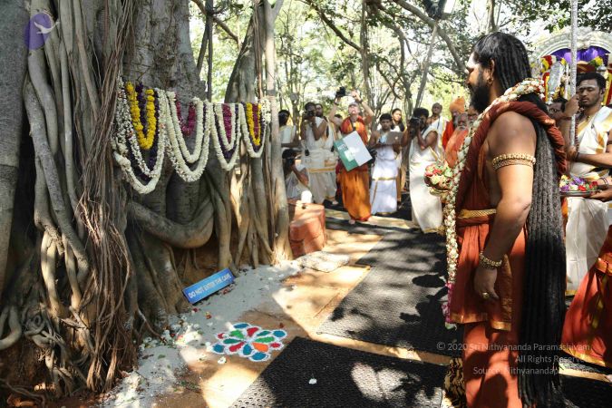 20161223 Photo 1487 1mm3SBnwYbTkP8SsyMxtVt-M-icTNISs8.JPG