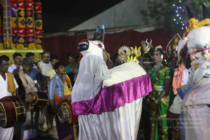 20161223 Photo 1556 17-wtrNuRiRZnK9JmzNLR036NTlTP5YYs.JPG