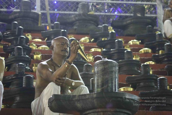 20161223 Photo 1688 1LjyvdHXnzwaWo8LA1u8U7OBQbx1j-3ei.JPG