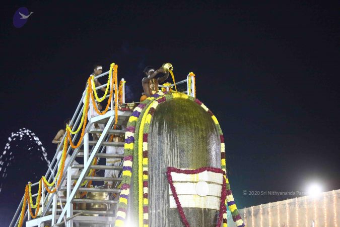 20161223 Photo 1712 1Ys5bt2O5U552Boz3aHOYKvs5 JqafHOr.JPG