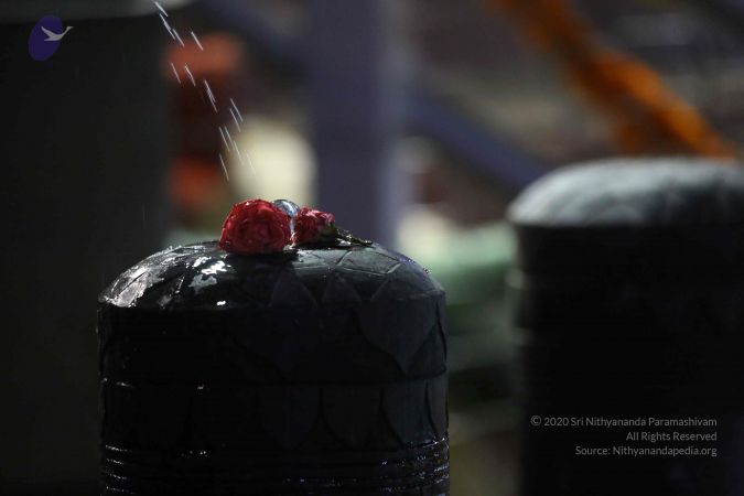 20161223 Photo 1724 1pJnqZzi2B3vFrE65m356O9uOd3qZXb8w.JPG