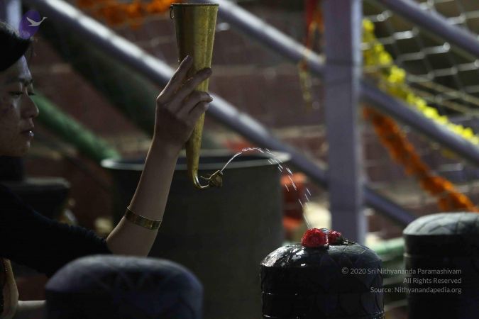 20161223 Photo 1725 1pz6gIDCbki8t0y4h7xK9gl5E6-FBbOB2.JPG