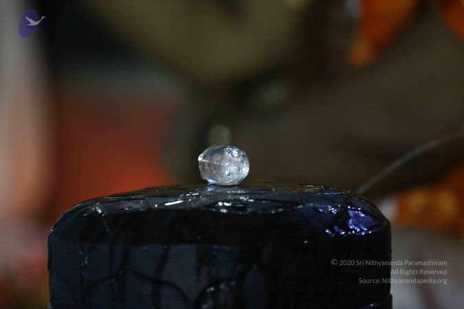 20161223 Photo 1728 1Hk8FYNkKKQSq6F0k3r-iDGF3cuh5nBmh.JPG