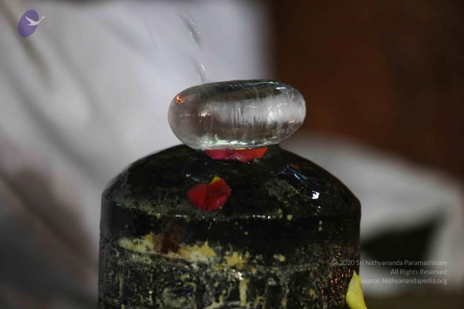 20161223 Photo 1731 1CSxNrWEDQnZgOyQt83CwB-5cmVWrhV6V.JPG