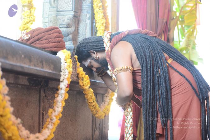 20161223 Photo 1733 16JBjhv3hnKXKHPLQq28HEo5Nl6NM4qYS.JPG