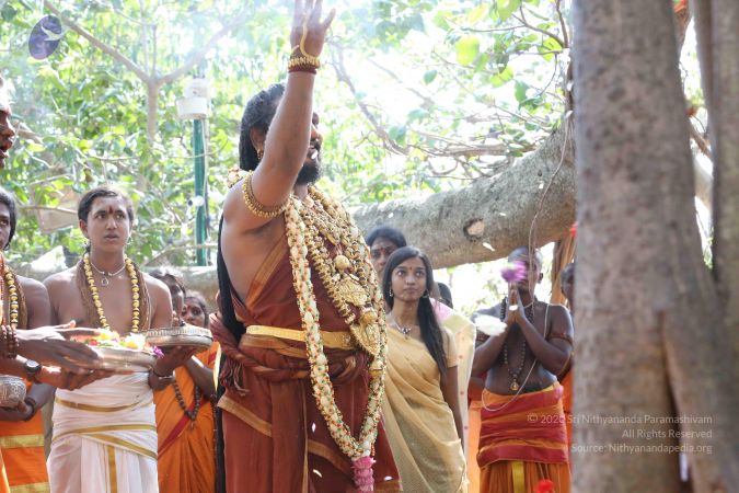 20161223 Photo 1953 1EMBQRew5f57bYfB6zYwqS3gnZ98huu0g.JPG