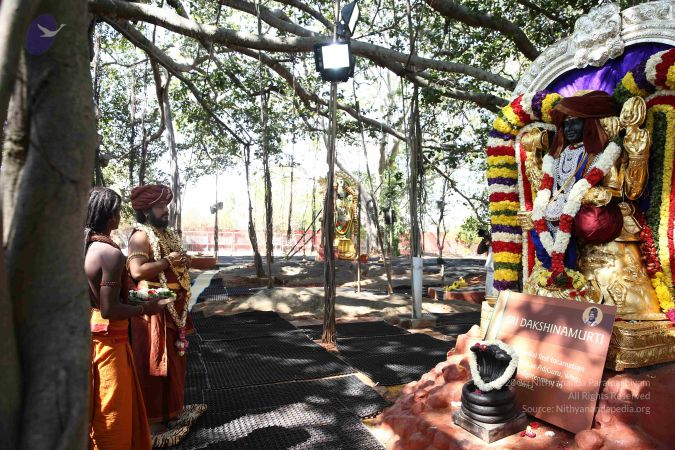 20161223 Photo 2075 17D94qgE7YkXnLigM1SSqyWGvTjubC4Pw.JPG