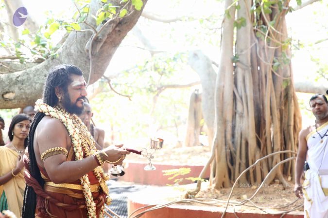 20161223 Photo 2088 12UqpfYeooxXc-jhUbXXT576zMfrx5Hqu.JPG