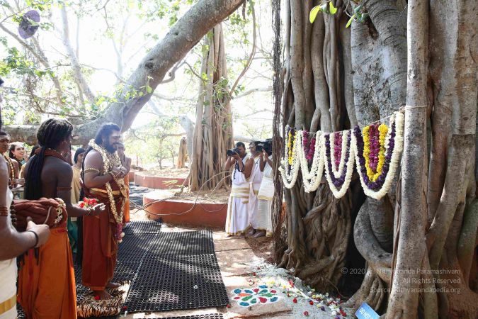 20161223 Photo 2093 1eMp8o4a8FItcj DbucNMLiiCMbL9TRZa.JPG