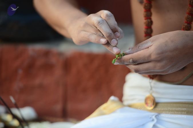 20170102 Photo 1016 1mNeC 0NJnoWGCrMeXiBfp0KwRgTcmQOf.JPG