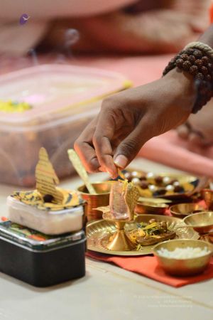 20170106 Photo 178 1uISVWXgE63DGmnHKxRYsvKhWX8ykV7pi.jpg