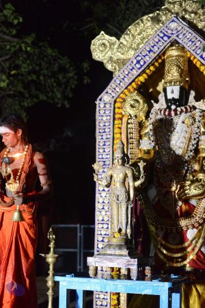 20170108 Photo 1002 197d99eBMSiqScu43PkgaU6VVYd9s3dqv.JPG