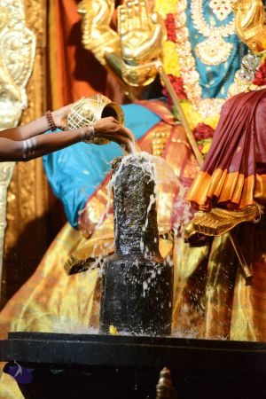 20170108 Photo 1003 1ZOICh Tpaytq6sP16Gj9W0pRfVHi-H20.JPG