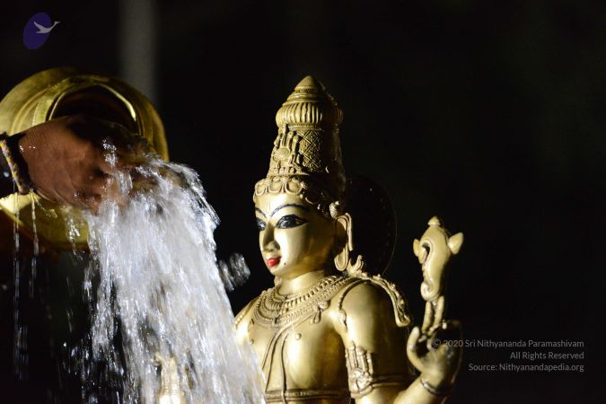 20170108 Photo 1007 1ZmxptKXsw4PdjkaRhtNIdHl9RYZD6FMI.JPG