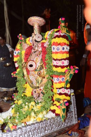 20170108 Photo 1021 1SExr4sO w8AWpp KsSjZIFf7VxnLiUqQ.JPG