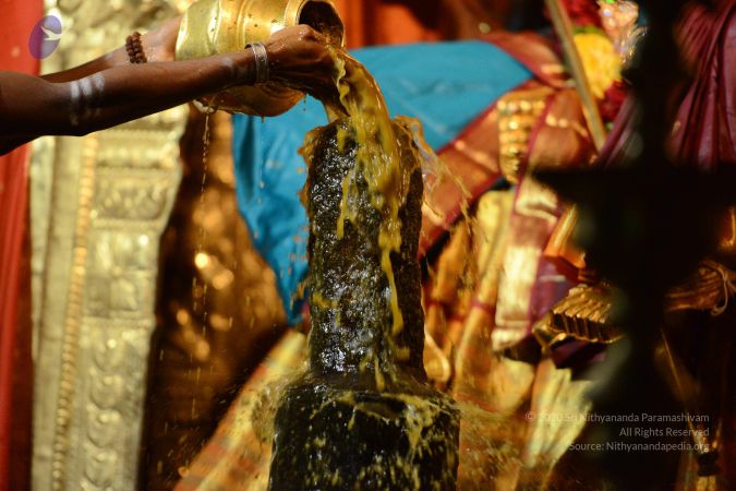 20170108 Photo 1026 1duHYuZ07FmAxPz9D0XvsIsiMgdI-slVO.JPG