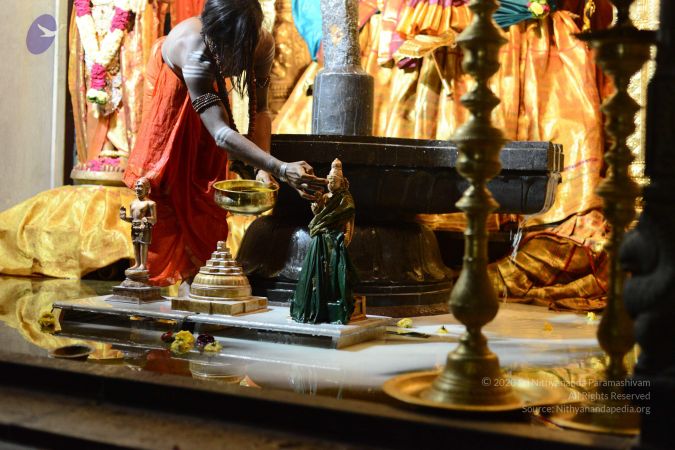 20170108 Photo 1029 1bAX-i4P97w1mBtYu2ns0tcPMZT31EPel.JPG