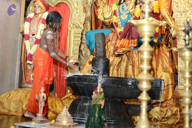 20170108 Photo 1030 1YpUOBoUsxMkcPdEf9FpA7ld-VQIdvH8t.JPG