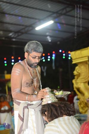 20170108 Photo 1045 1n9-IU62Hq6ri1etlDpsOb9cUsmNSjz2V.JPG