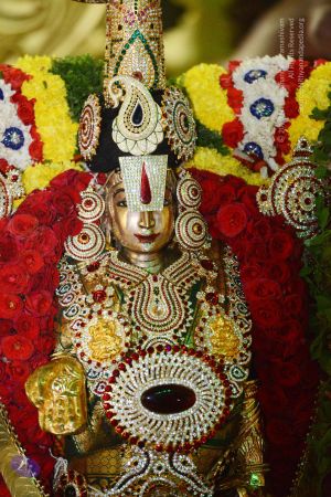 20170108 Photo 1046 1RK81UwnnDyDPY9XdAHe1JHjgIaIOP-Kf.JPG